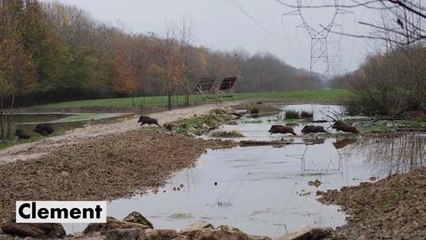 Vos meilleures photos Facebook de mars 2015