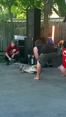Un Alligator mord son dresseur pendant