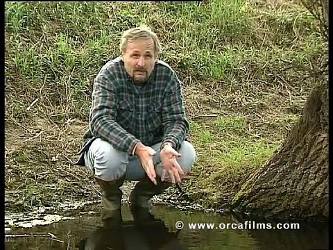 Trailer und Ausschnitt 1 aus dem Film über Urzeitkrebse -deutsch- Triops, Artemia, sea monkeys