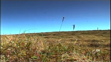 Planeta Terra - Islândia, Jornadas Definitivas