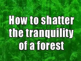 Coillte! Keep hunts out of our forests!