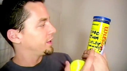 Not A Talking Kitty Cat Video