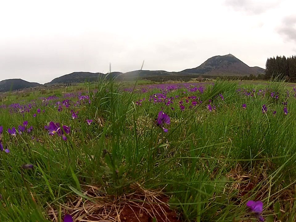 LE PUY DE DOME