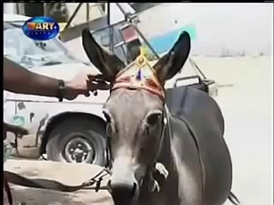 Pakistani Funny very Hot Video 1) New Funny Clips Pakistani?syndication=228326