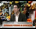 Espárragos peruanos de exportación