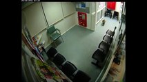 Un koala en pleine santé se rend aux urgences d'un hôpital
