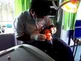 Dental Check-up
