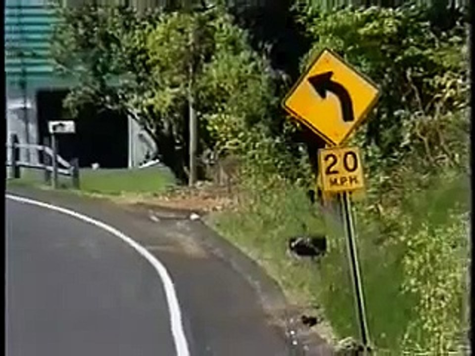 Signs, Signals, and Markings
