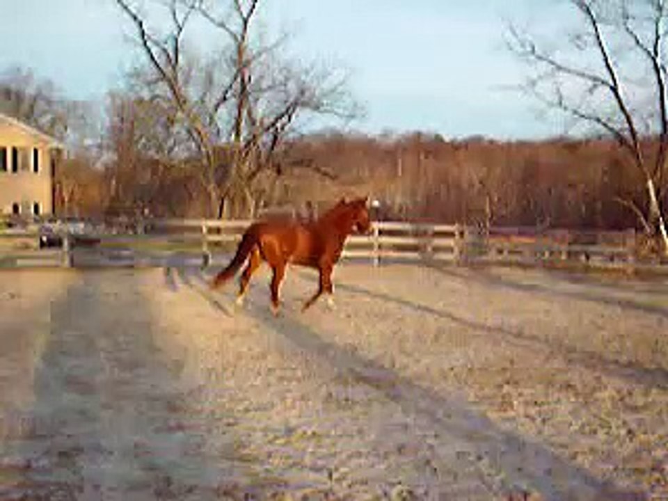 My pony
