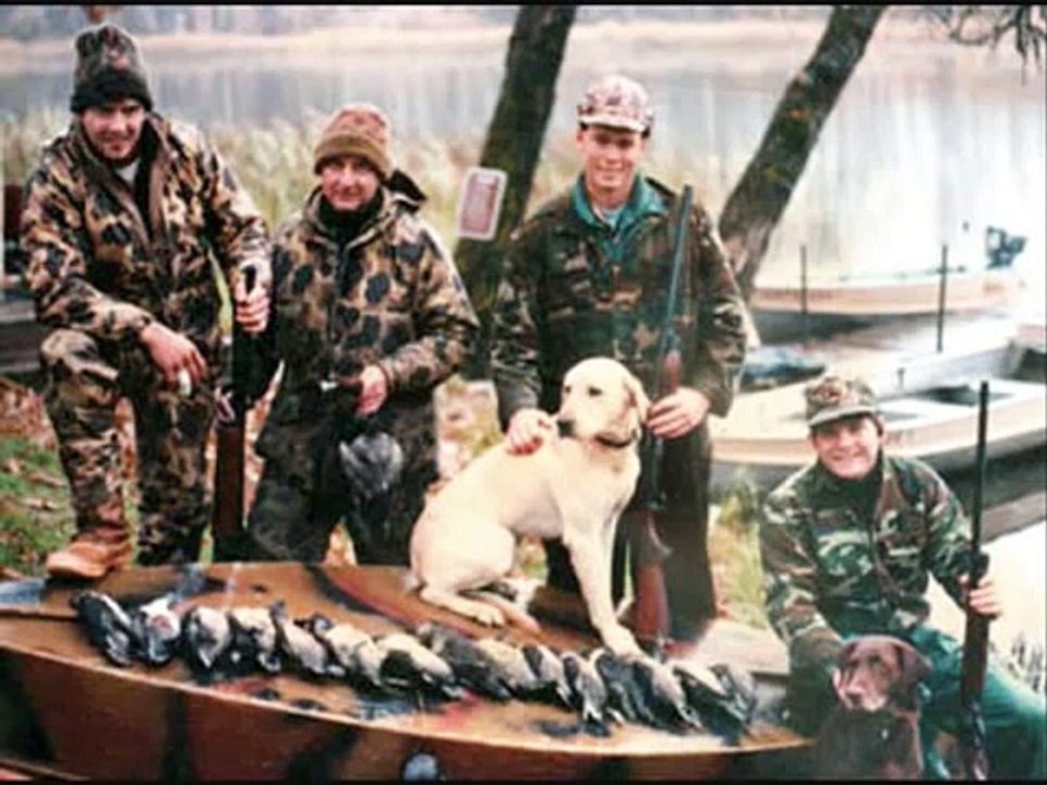 Hunting dogs