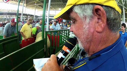 Big Animals of the Fair | Iowa State Fair 2012