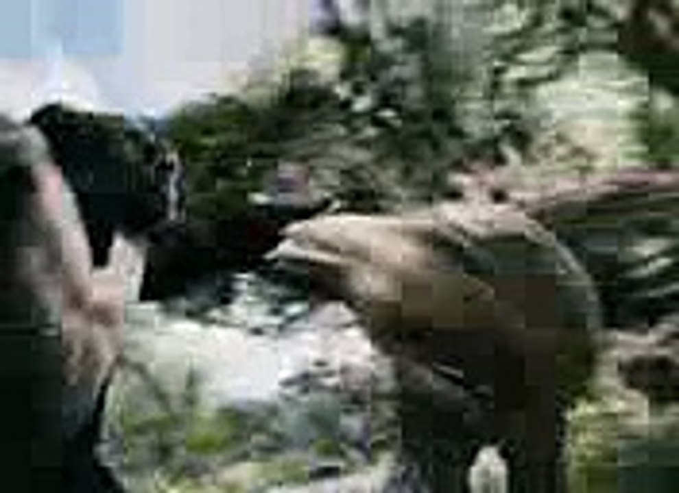 KING KONG - TREX FIGHT
