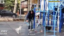Parkta Oynayan Çocukları Köpekle Kandırıp Kaçıran Adam - Sosyal Deney