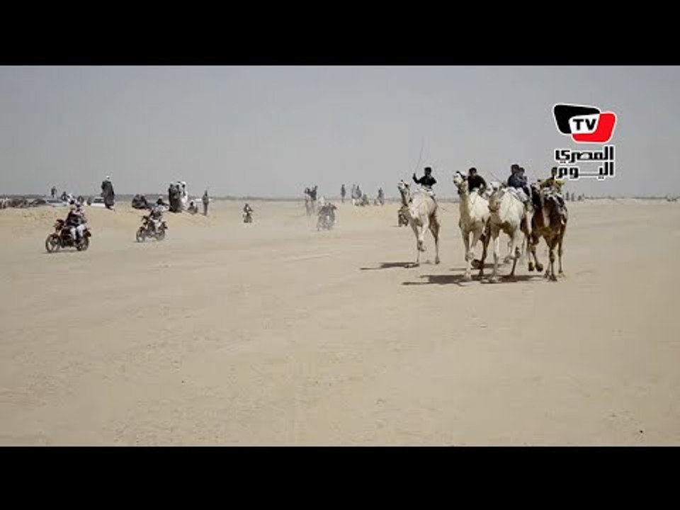 مهرجان «سباق الهجن» الرابع عشر بالإسماعيلية