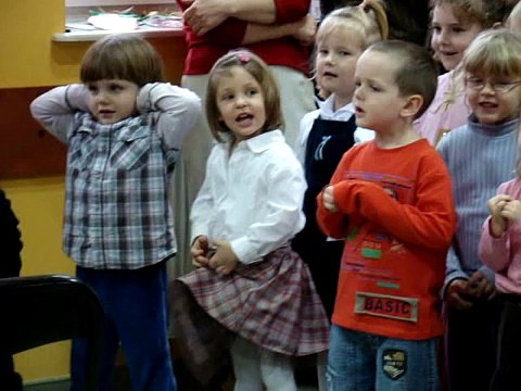 Homesteading (4): Raising chickens guinea fowl and geese