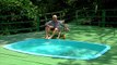 Plonger dans une piscine remplie de piranhas, voilà le défi de cet homme !