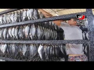 الرنجة.. من المصنع إلى طبق المواطن