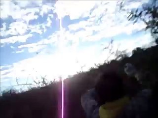 caceria de jabali con perros