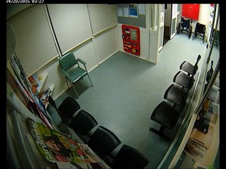 Koala pasea por un hospital australiano y se vuelve viral