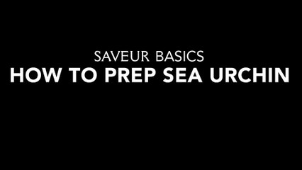 How to Prep Sea Urchin