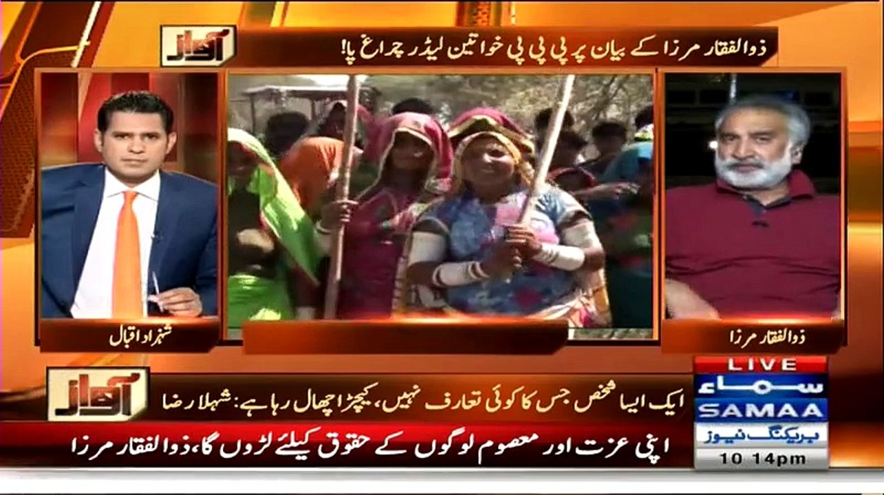 Minister Bannay Kay Liye Kitnay Paper Bellnay Partay Hain - Zulfiqar Mirza