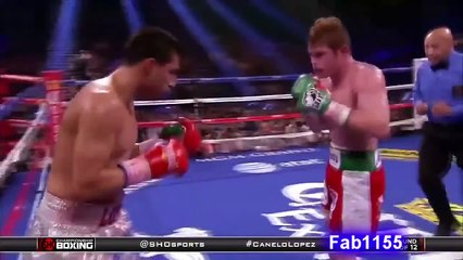 Saul Canelo Alvarez Devastating Punch Combination HD