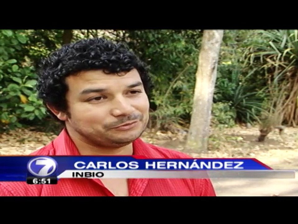 tn7-comer-insectos-120315