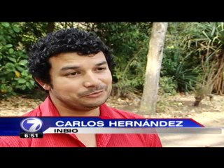 tn7-comer-insectos-120315