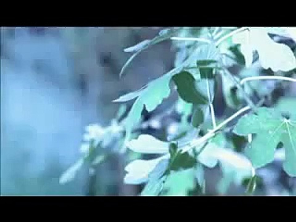 Dark world 2008 Movie trailer