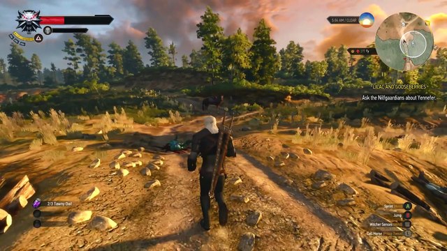 WITCHER 3 WILD HUNT (PREVIEW) - Gameplay Footage - part 2/3