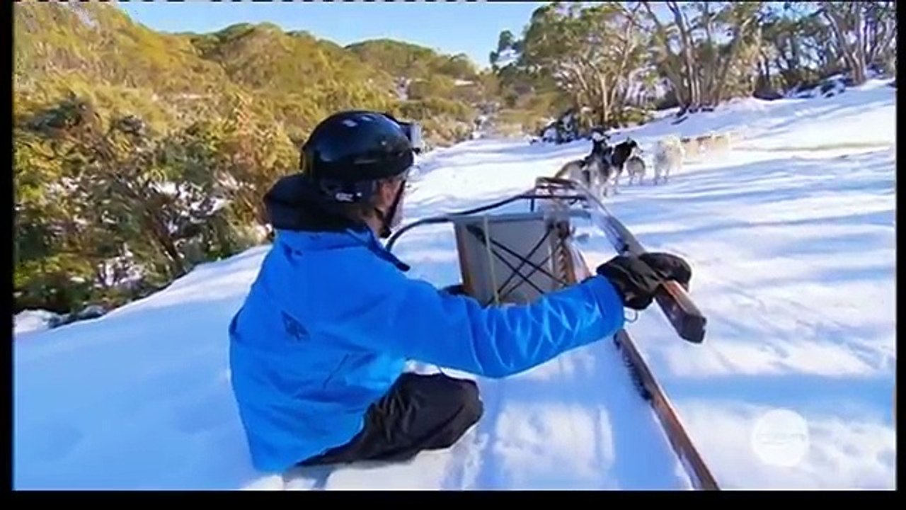 Howling Husky Sled Tours and Dr Chris Brown on the Living Room