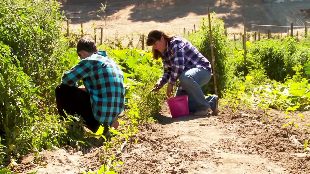 Farmageddon Trailer