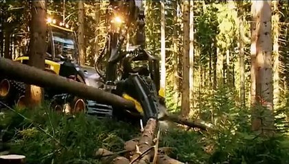 büyük ağaç kesme makinesi