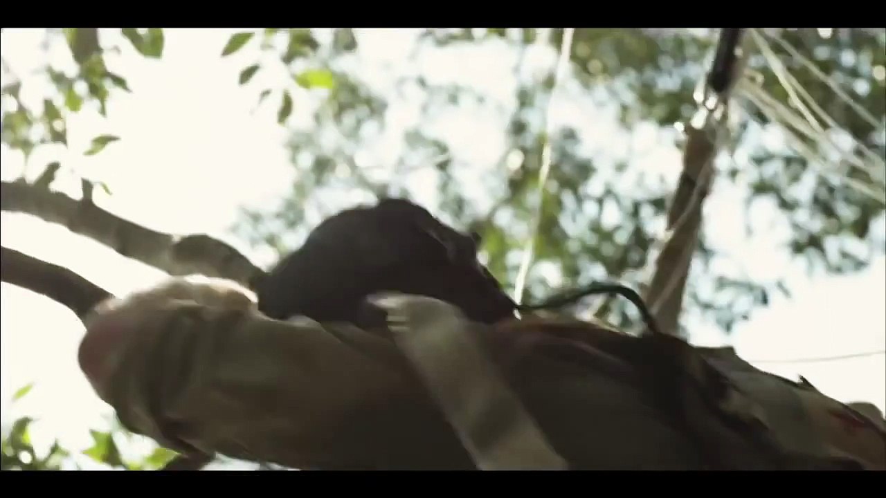 Canopy Official Trailer (2014) HD