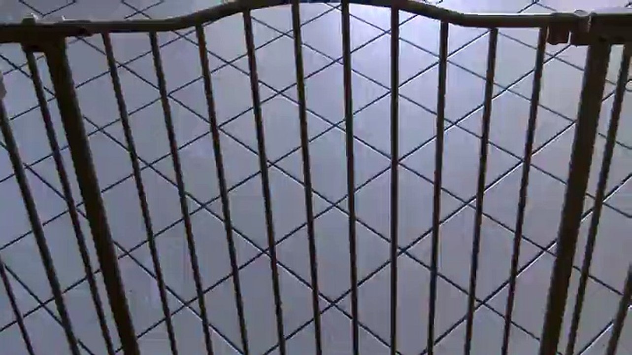 Supergate Deluxe Decor Gate Review! Perfect solution for many problems Very nice gate!