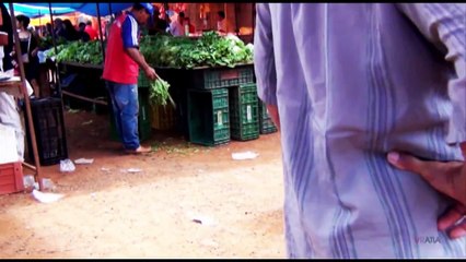 CURTA-METRAGEM FROTOGAFIA, Dir. Walter Sarça