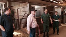 The Incredible Dr. Pol - Checking the Horses