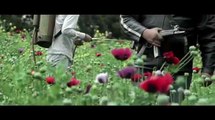 Trailer Jardin de Amapolas (Mohnblumenwiese) aus der Reihe Cinespañol 2