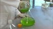 Biofuels from Algae Project - Brunswick Community College Center for Aquaculture & Biotechnology