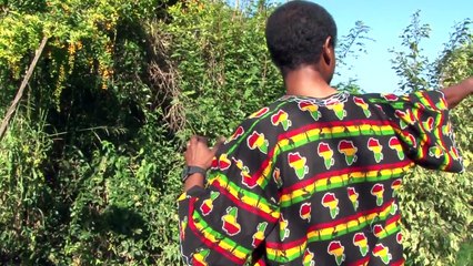 Filme Quilombo Familia Silva