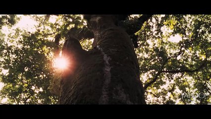The Liberator (Libertador, 2014) - Trailer HD Legendado