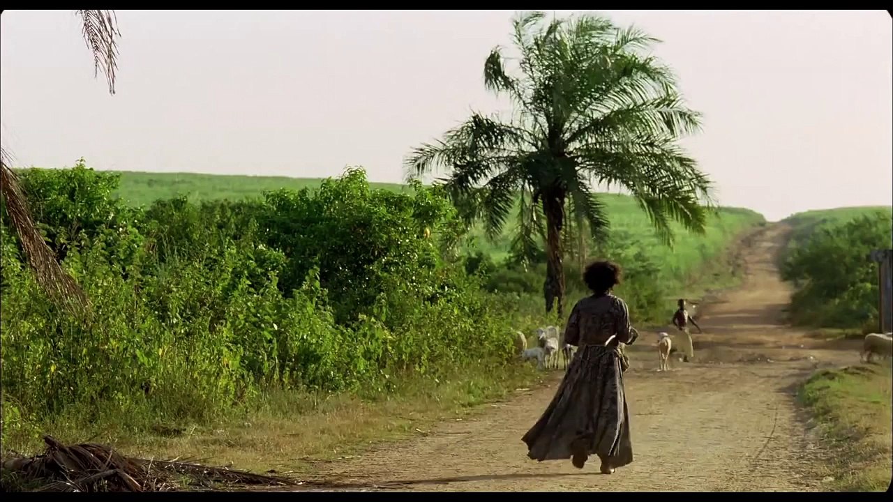 Pau Brasil - Trailer Oficial
