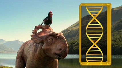 Bande-annonce : Sur la Terre des Dinosaures - Teaser (1) VF
