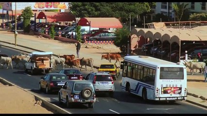 A Thousand Suns | Trailer | Art of the Real