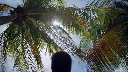 iamamiwhoami; BLUE (audiovisual film) trailer