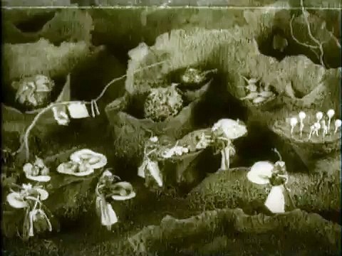 Веселые сценки из жизни животных -1912. Старый русский мультфильм Старевича