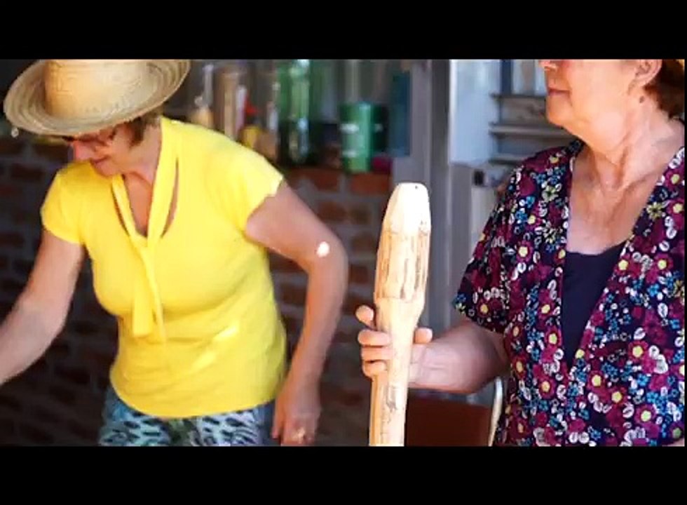 Sementes | Sala de Notícias - Canal Futura