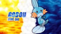 Pokémon Rubis Omega : Comment avoir le Nœud Destin ? épisode 74