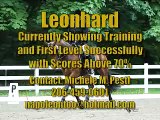 Leonhard Dressage First Level Test 1
