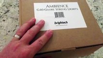 Brightech AMBIENCE String Light Perfect outdoor lights, just be careful putting them up